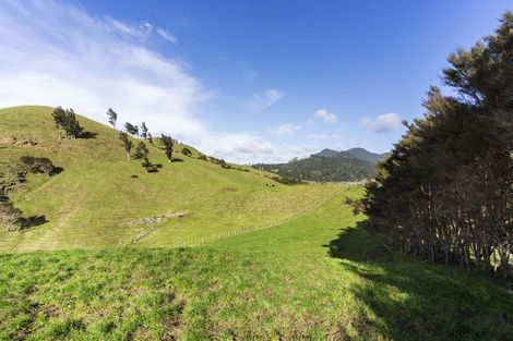 Photo of property in 309c Wentworth Valley Road, Whangamata, 3691