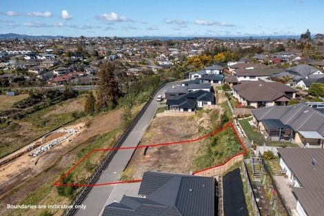 Photo of property in 11 Hyforce Way, Bethlehem, Tauranga, 3110
