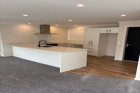 Photo of property in 115a Limbrick Street, Terrace End, Palmerston North, 4410