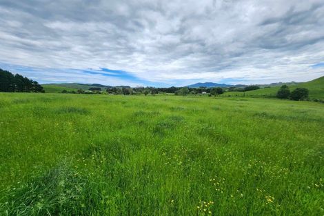 Photo of property in 201 Pond Road, Raglan, 3295