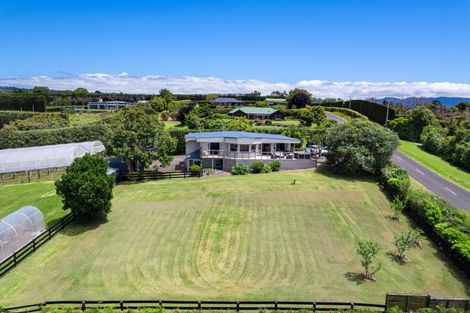 Photo of property in 54 Sinclair Road, Whakamarama, Tauranga, 3179