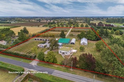 Photo of property in 80 Carters Terrace, Tinwald, Ashburton, 7700