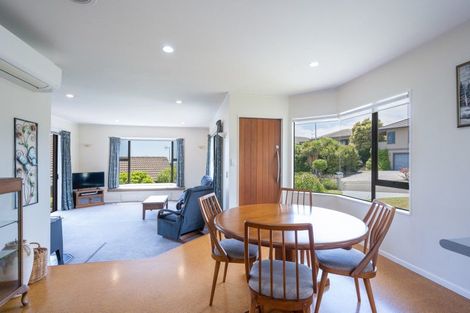 Photo of property in 17 Blair Terrace, Richmond, 7020