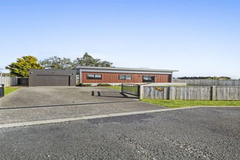 Photo of property in 7 Manatu Lane, Inglewood, 4330