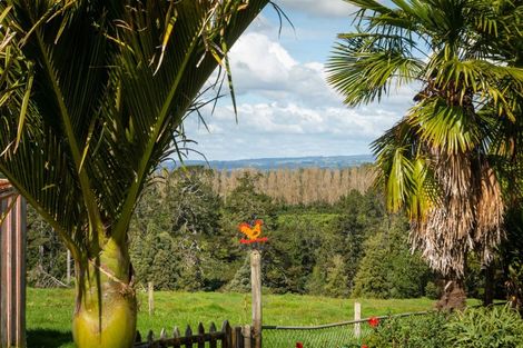 Photo of property in 181 Henry Road, Tahawai, Katikati, 3170