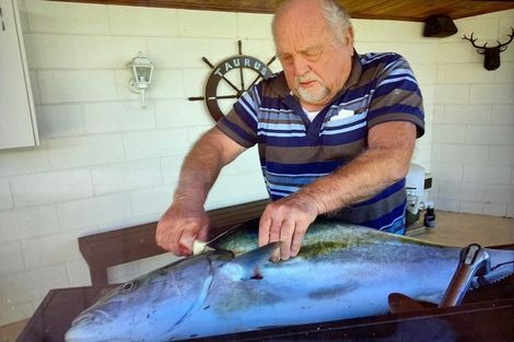 Photo of property in 4 Burrows Street, Tauranga South, Tauranga, 3112