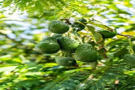 Photo of property in 230b Rangi Avenue, Whangamata, 3620