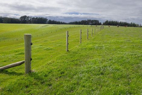 Photo of property in 234 Sandon Road, Feilding, 4779