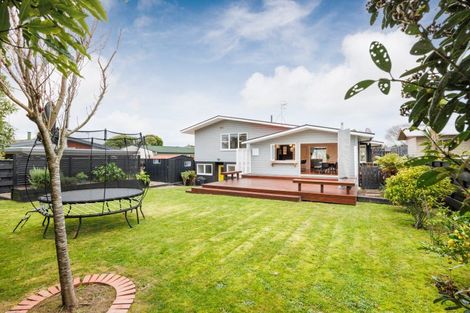 Photo of property in 50 Newcastle Street, Hokowhitu, Palmerston North, 4410