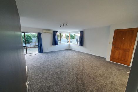 Photo of property in 46b Richill Street, Belfast, Christchurch, 8051