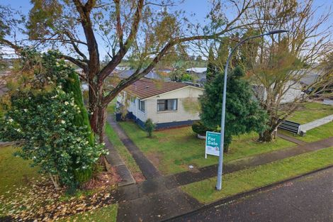 Photo of property in 103 Hiskens Place, Te Awamutu, 3800