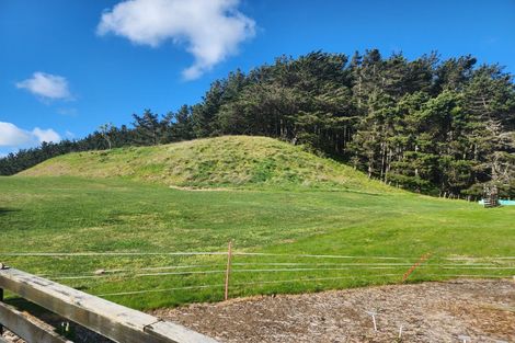 Photo of property in 4 Maury Place, Foxton, 4814