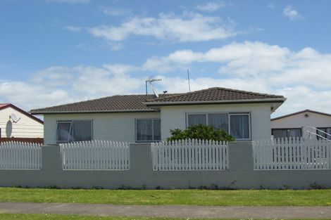 Photo of property in 80 Maplesden Drive, Clendon Park, Auckland, 2103
