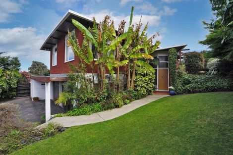 Photo of property in 162 Cambridge Road, Hillcrest, Hamilton, 3216