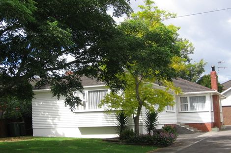 Photo of property in 11 Wesley Avenue, Mount Albert, Auckland, 1025