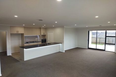 Photo of property in 17 Santiago Place, Flagstaff, Hamilton, 3210