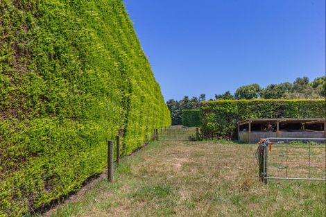 Photo of property in 50 Painua Road, Hokio Beach, Levin, 5571