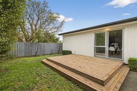 Photo of property in 117a Ruskin Street, Addington, Christchurch, 8024