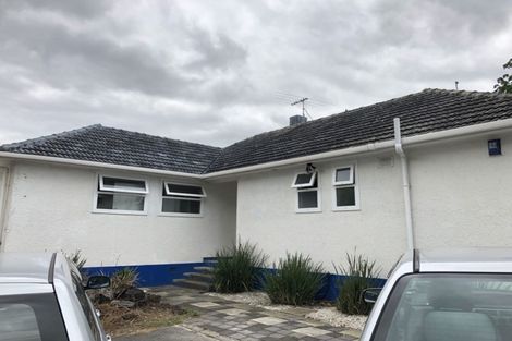 Photo of property in 9 Larsen Road, Panmure, Auckland, 1072