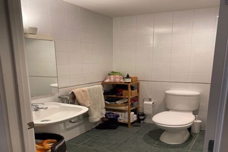 Photo of property in 8a Madeira Lane, Grafton, Auckland, 1023