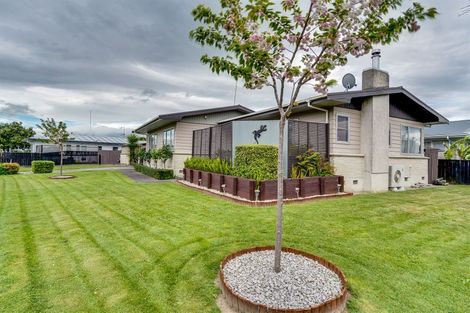 Photo of property in 24 Alexander Avenue, Onekawa, Napier, 4110