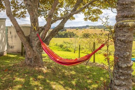 Photo of property in Ex Ararua Primary School, 1823 Ararua Road, Ararua, Matakohe, 0594
