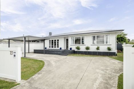 Photo of property in 73 Middle Road, Havelock North, 4130