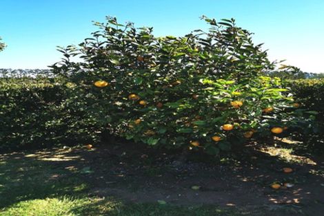 Photo of property in 277 Smart Road, Hillsborough, New Plymouth, 4372