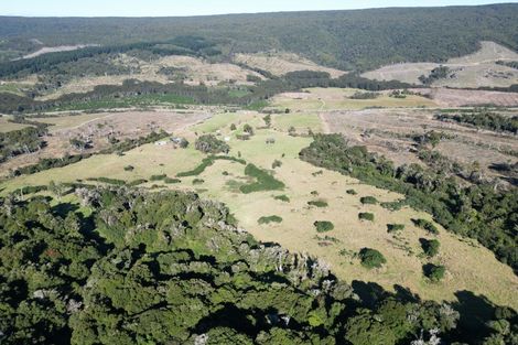 Photo of property in 1612 Tahakopa Valley Road, Tahakopa, Owaka, 9586