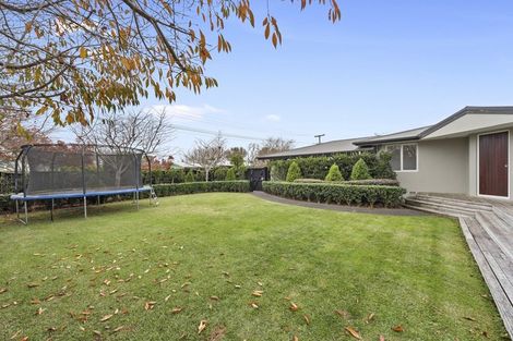 Photo of property in 3 Chesterman Road, Riverlea, Hamilton, 3216