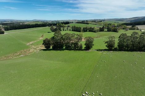 Photo of property in 1446a Clydevale Road, Clydevale, 9274