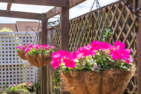 Photo of property in 66 Cedar Drive, Paraparaumu Beach, Paraparaumu, 5032