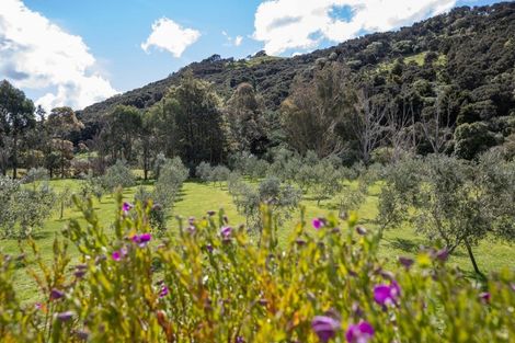 Photo of property in 124 Mangatarere Valley Road, Carrington, Carterton, 5791