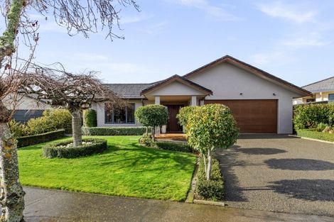 Photo of property in 58 Palmbrook Avenue, Havelock North, 4130