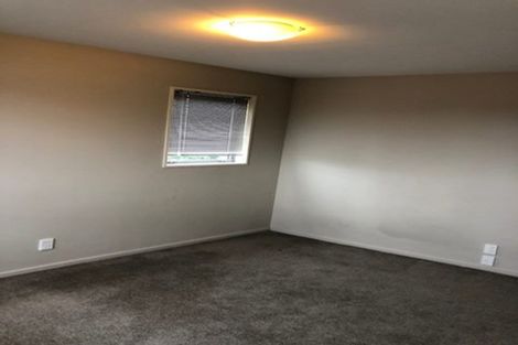 Photo of property in 145 Purchas Street, Edgeware, Christchurch, 8013