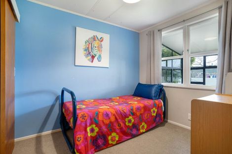 Photo of property in 28 Freyberg Street, Solway, Masterton, 5810