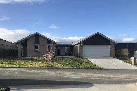 Photo of property in 21 Miharo Crescent, Flagstaff, Hamilton, 3210