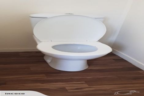 Photo of property in 243 Waiuku Otaua Road, Waiuku, 2682