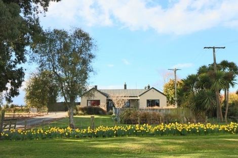 Photo of property in 161 Divan Road, Levels, Timaru, 7975