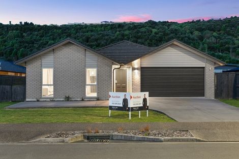 Photo of property in 269 Lakes Boulevard, Pyes Pa, Tauranga, 3112