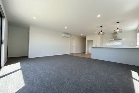 Photo of property in 63 Waiotahi Road, Kaiapoi, 7630