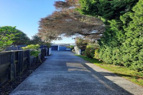 Photo of property in 59 Rex Street, Miramar, Wellington, 6022