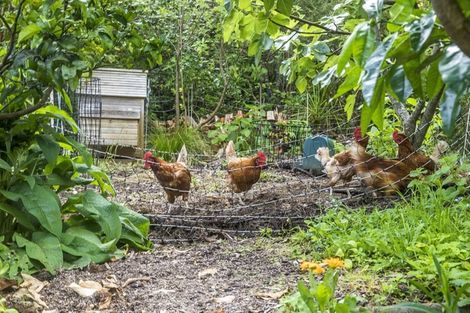 Photo of property in 6 Young Street, Mahurangi East, Warkworth, 0982