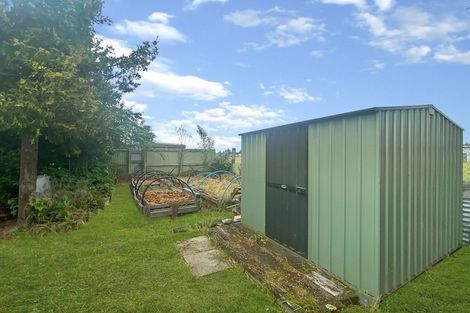 Photo of property in 55 Rata Road, Twizel, 7901