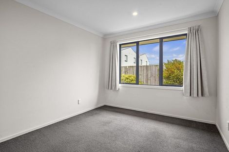 Photo of property in 22 Percy Street, Phillipstown, Christchurch, 8011