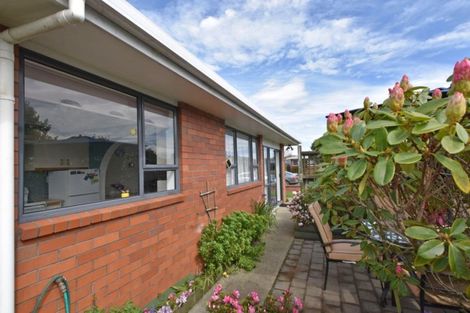 Photo of property in 218 Princes Street, Strathern, Invercargill, 9812