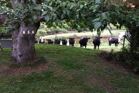 Photo of property in 3668 Cambridge Road, Leamington, Cambridge, 3495