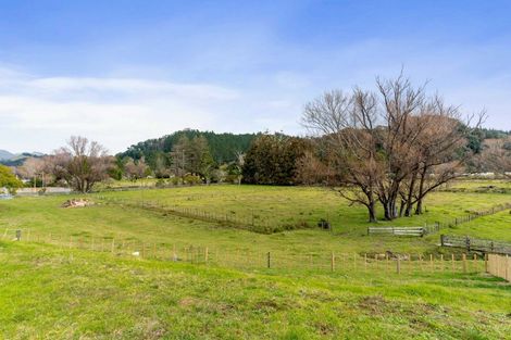 Photo of property in 203 Port Road, Whangamata, 3620