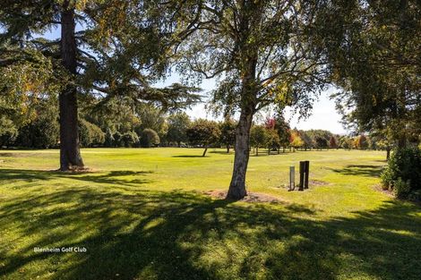 Photo of property in 111 Oakley Avenue, Springlands, Blenheim, 7201