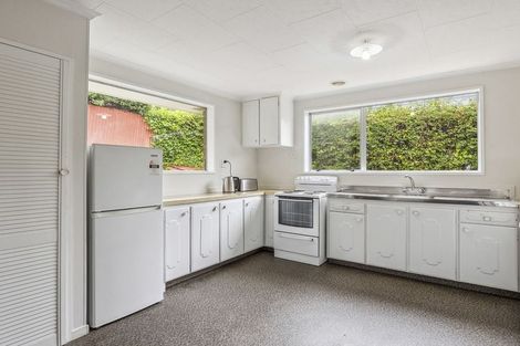 Photo of property in 17a Buccleugh Street, North East Valley, Dunedin, 9010